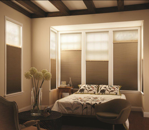 Pleated Blinds/Honeycomb Blinds